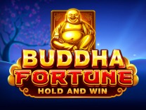 Casino game 14